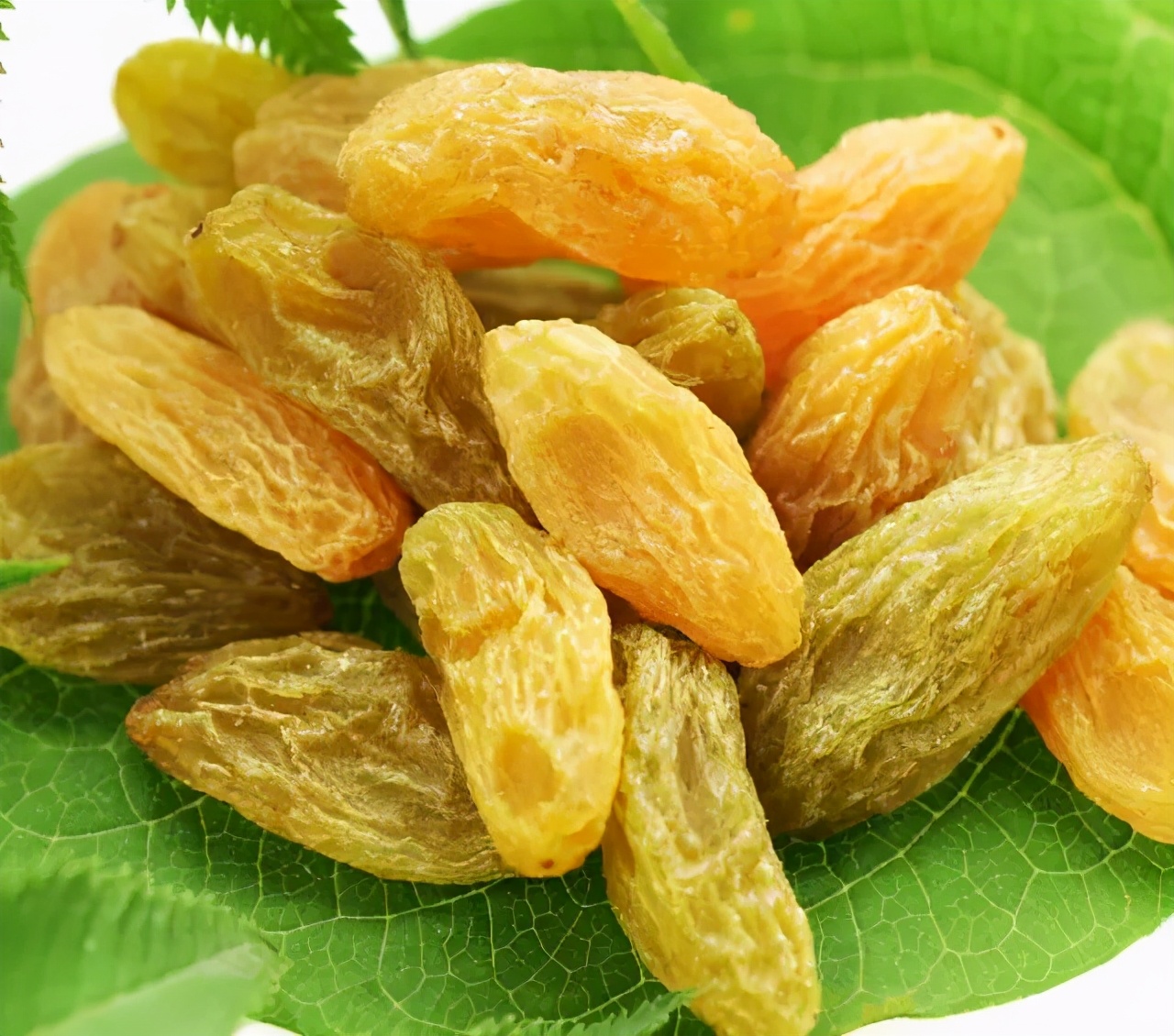 来疆有什么好吃的,来疆必吃的美食