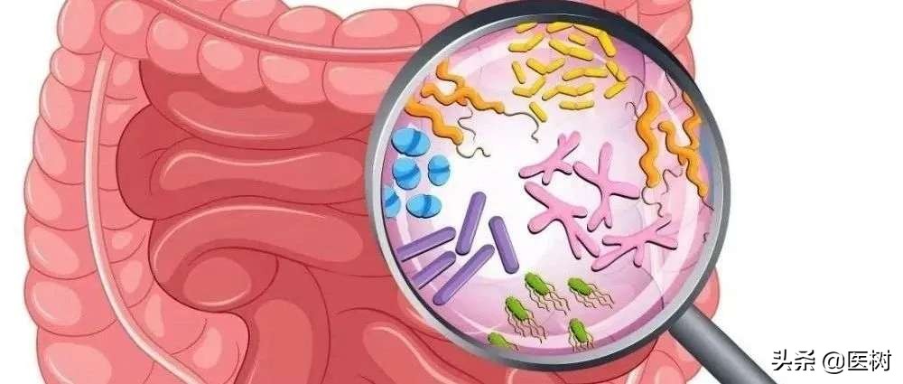 益生菌为什么比较贵,益生菌的好评越来越多