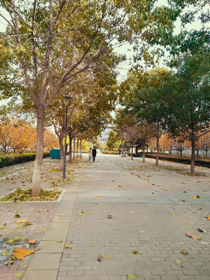 河南省洛阳师范学院,河南省师范高等专科学校