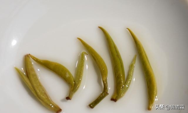 绿茶应该冲而不是泡,绿茶正确用法