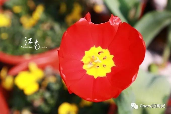 苏州旅游值得去的景点,去苏州旅游攻略最好的景点