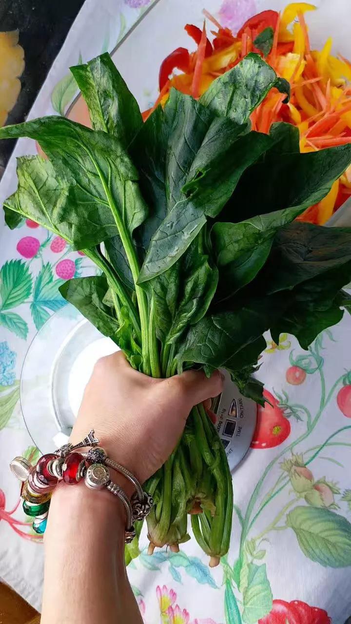 天天蔬果,天天蔬果新消息