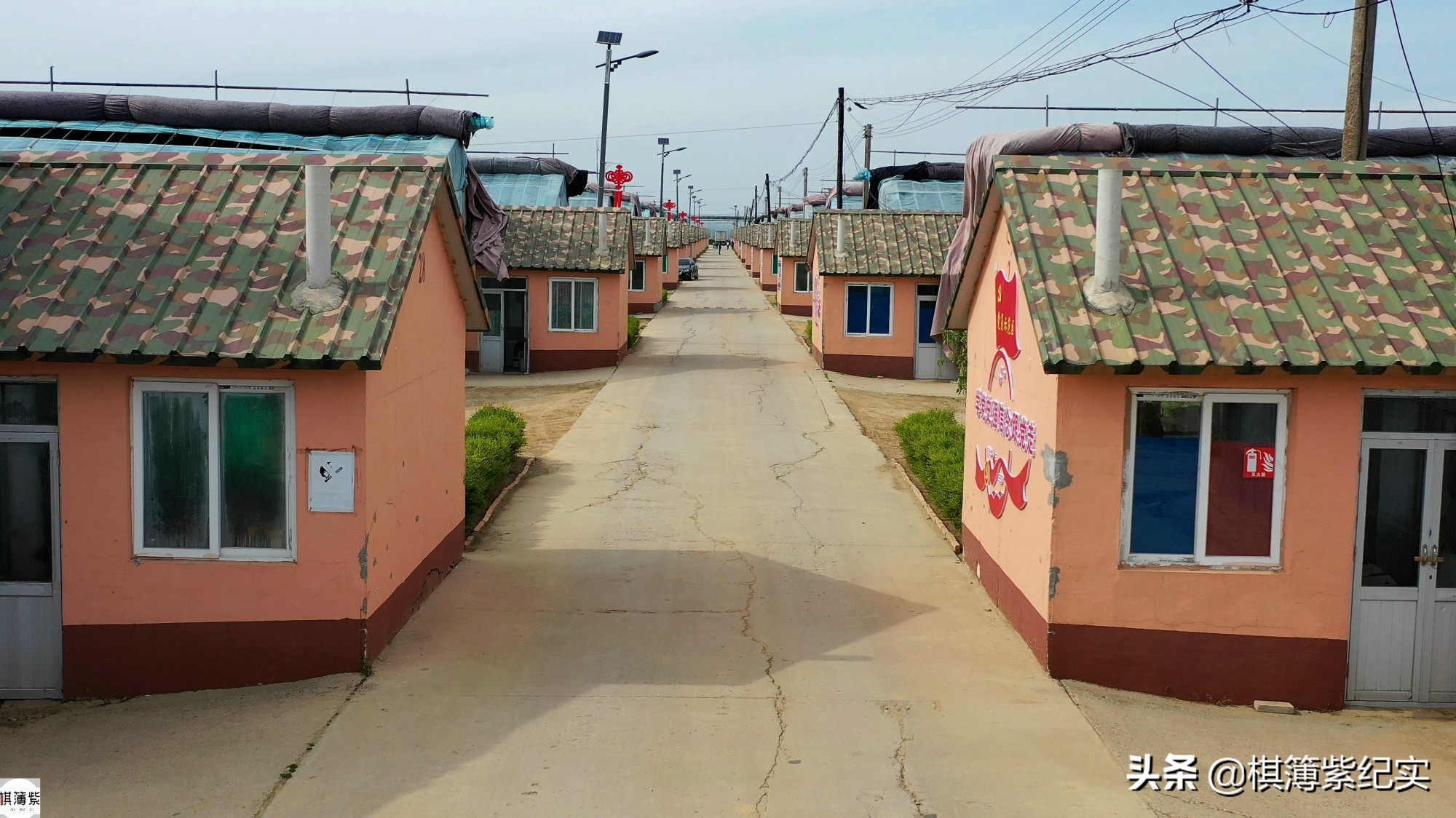 草莓王传奇：200多个大棚，实施空中草莓计划，明年手机遥控草莓