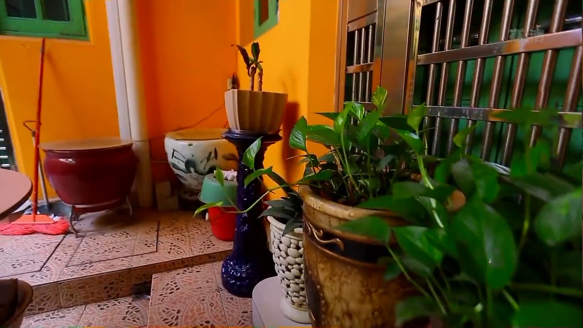 百年老宅的硬核改造全记录,儿时老宅大改造效果震撼