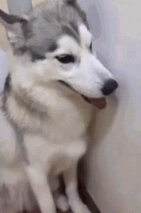 万万没想到强迫症,洁癖强迫症治愈方法