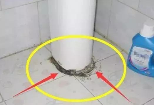 玻璃胶去发霉小妙招,玻璃胶发霉小妙招如何处理