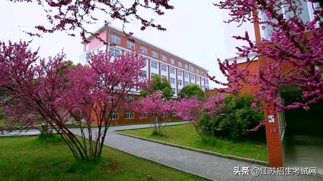 无锡工艺是什么,无锡工艺评价