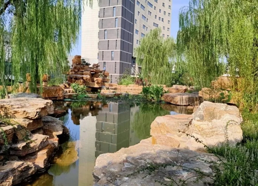 2020年江苏护理职业学院提前招生,江苏护理学院2021提前招生简章