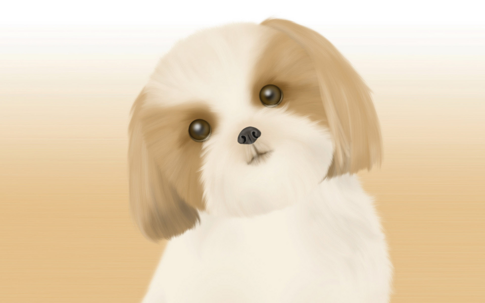 2个月的狗狗怎么喂养,2个月狗狗怎么训练大小便