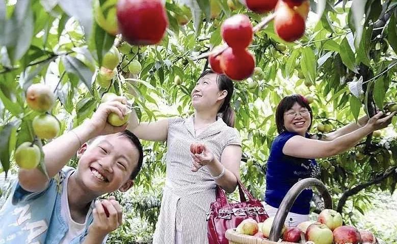 上海奉贤农家乐包吃住推荐,上海2000元一个月包吃住的农家乐