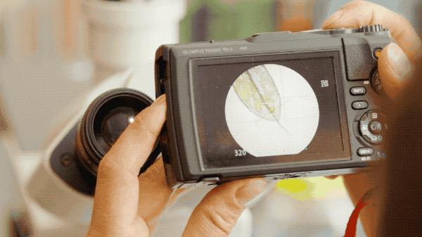 吃毒菇、睡蛇窝,只为挖一堆草,这个重庆博士要做当代神农