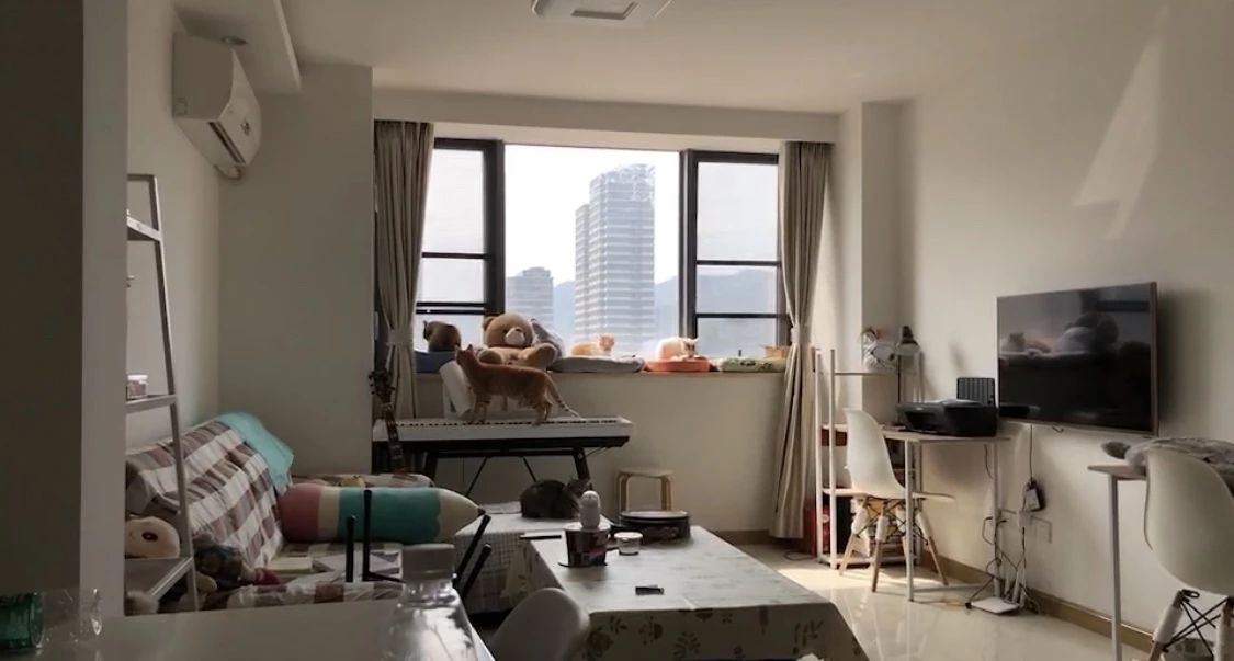 猫咪贫血吃补血肝精多久能好,猫咪有贫血和肾衰能治好吗