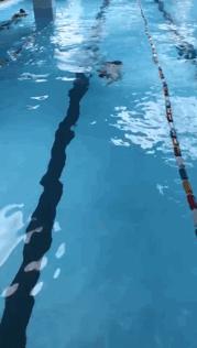 游泳教学零基础青蛙泳,蝶仰蛙正确游泳方法