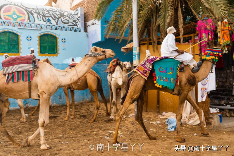 一半沙漠一半海洋图片,一半沙漠一半湖水