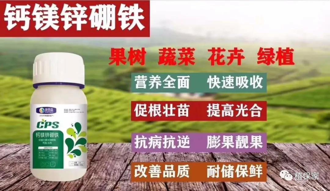 缺硼锌铁钙，这个方法一次补齐了