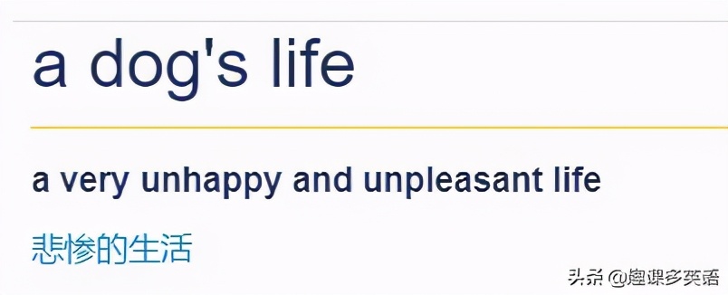 鑰佸璇磞ouare,澶栧浗浜鸿youareanimals
