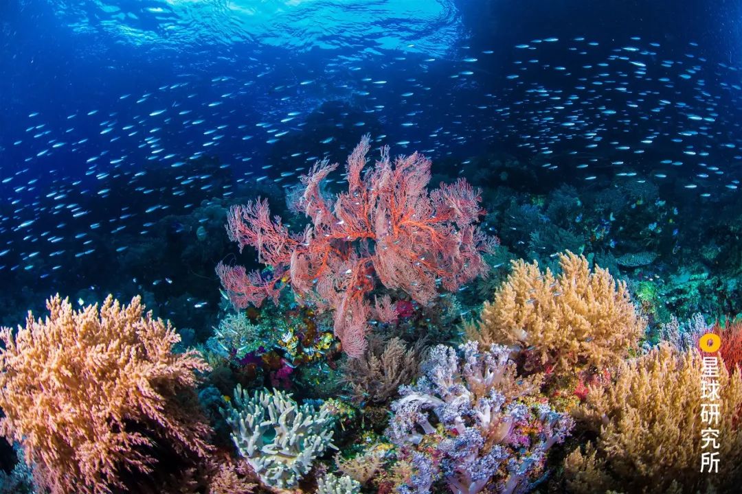 菲律宾碎玻璃,菲律宾塑料破碎