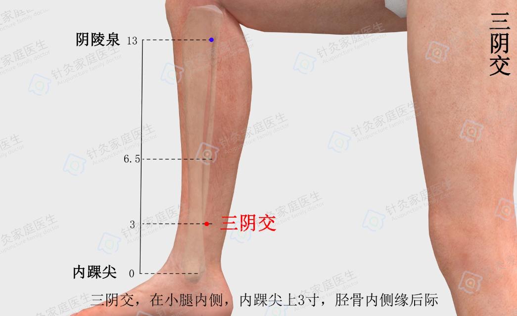 端午节旅游攻略请收下,端午节期间养生小知识