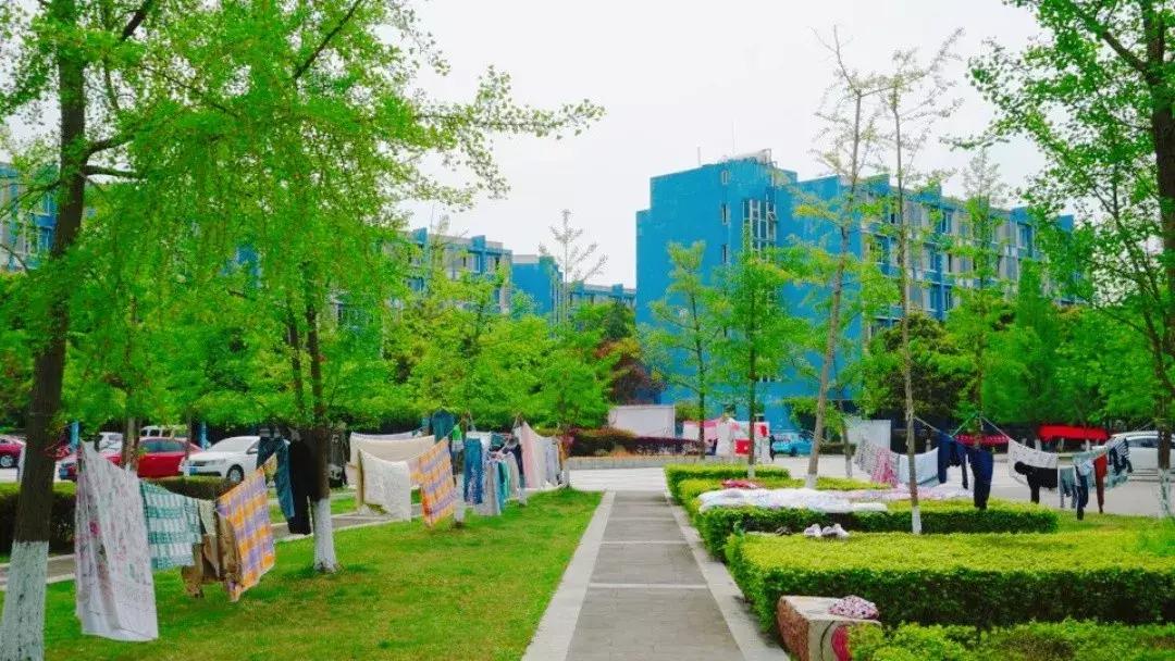 我的青春,叫电子科大成都学院!