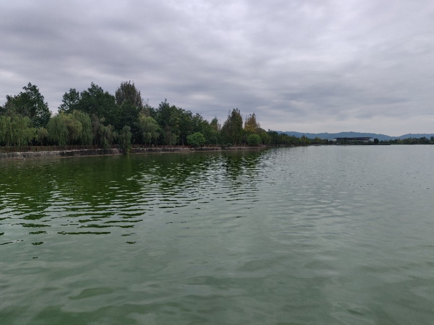 一代神车本田佳御,本田佳御110踏板