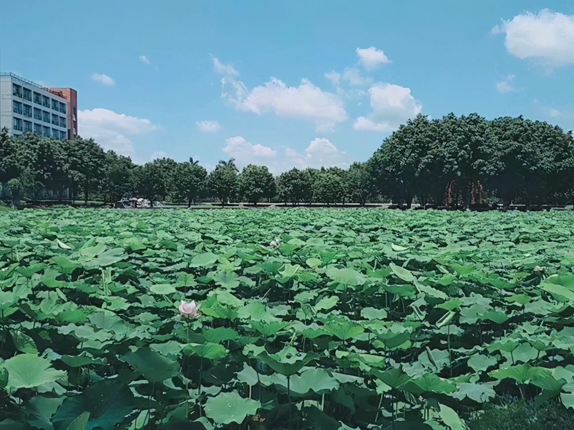 广东大学参观指南大全,广东大学参观预约