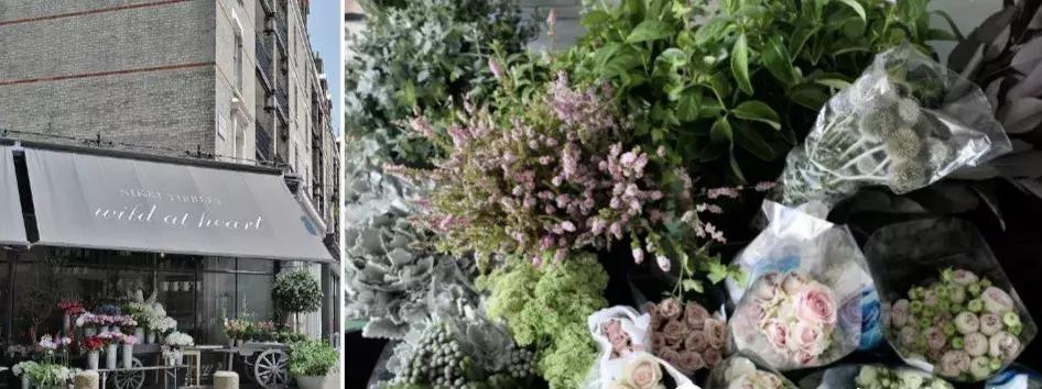 开一个花店指南,如果你也想开一家花店书籍