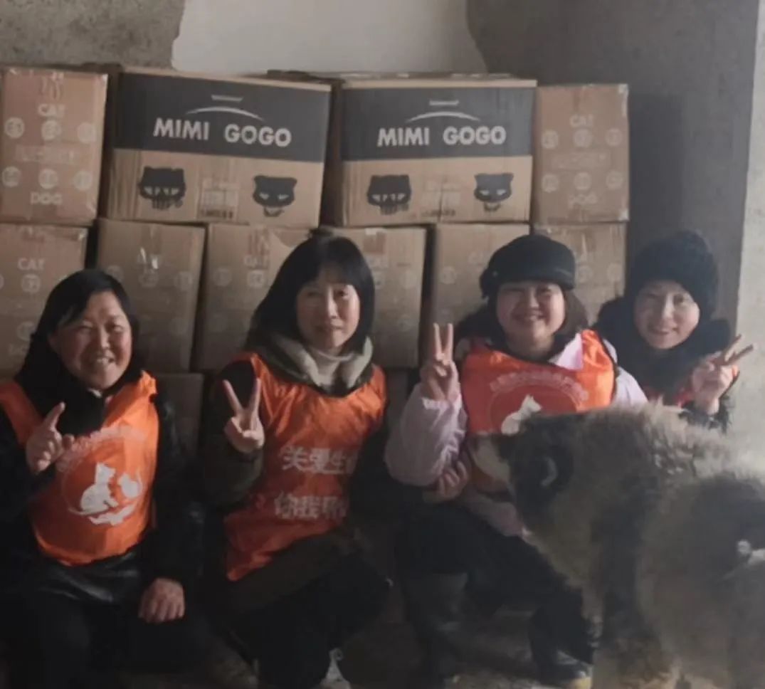 新年捐赠反馈，馋不腻，嘉传，小饿魔，艾尔，蛙牌都到货啦