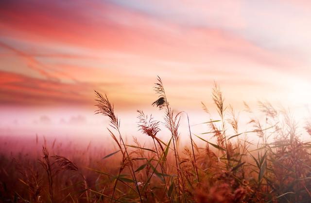 什么样的曝光是正常曝光,正确曝光是最佳曝光吗