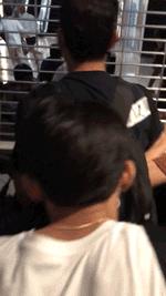 新加坡丧尸剧,丧尸围城新加坡