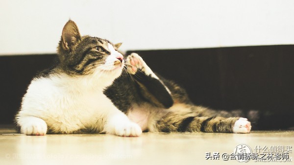 高端香炉香盒,线香高端香炉