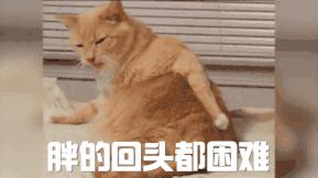 春节吃胖10斤节后减肥有诀窍,节后减肥计划安排表