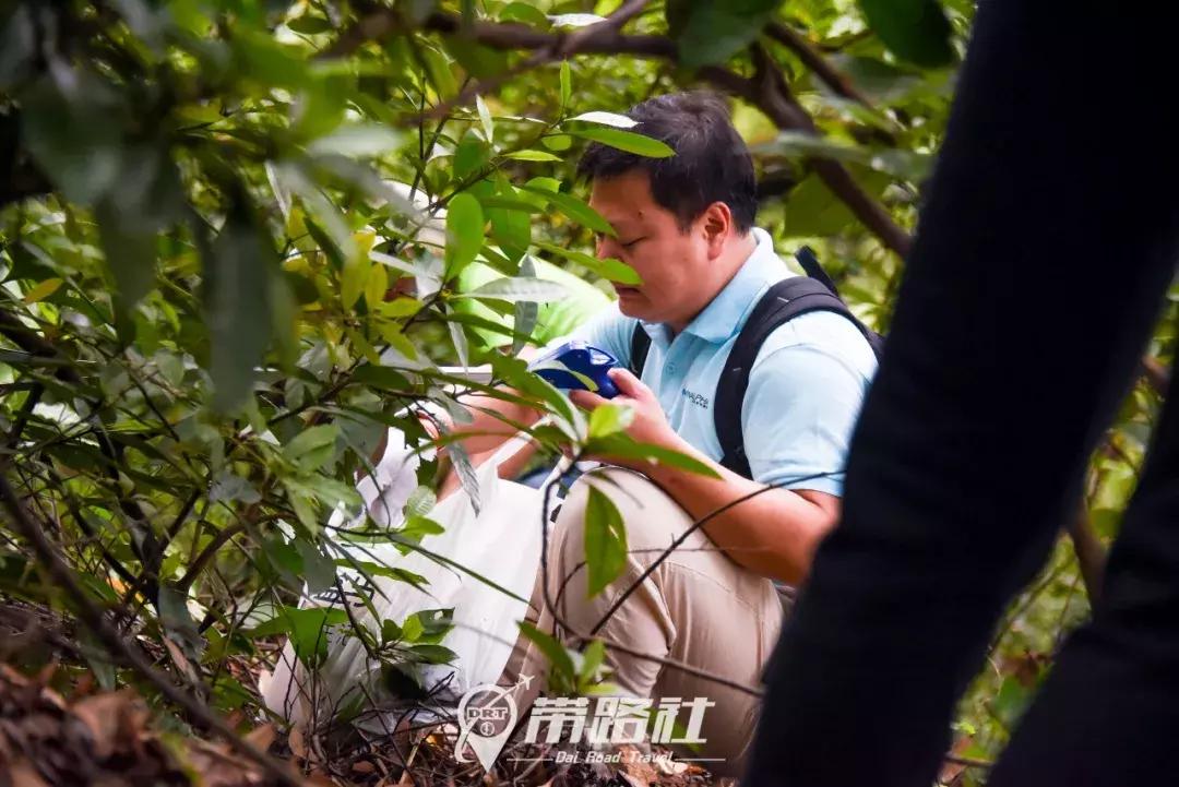 绿色环保行动实践活动总结,用行动践行绿色环保理念