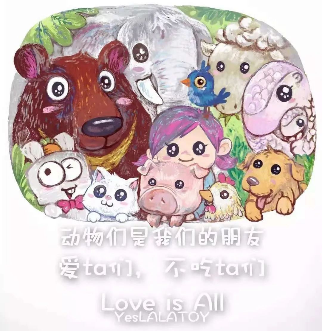 漫画家韩李李：为什么有的生命还在跟你说话，有的却变成了一道菜