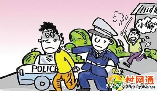 刑事案件典型案例剖析心得体会,刑事案例分析经验和启示