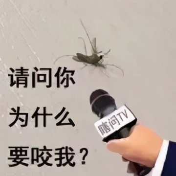 夏天蚊虫叮咬用什么方法迅速止痒,蚊虫叮咬缓解痒的小妙招