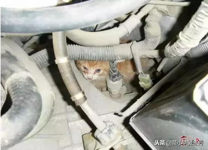 冬天开车都检查什么,冬天开车有没有必要加防冻液