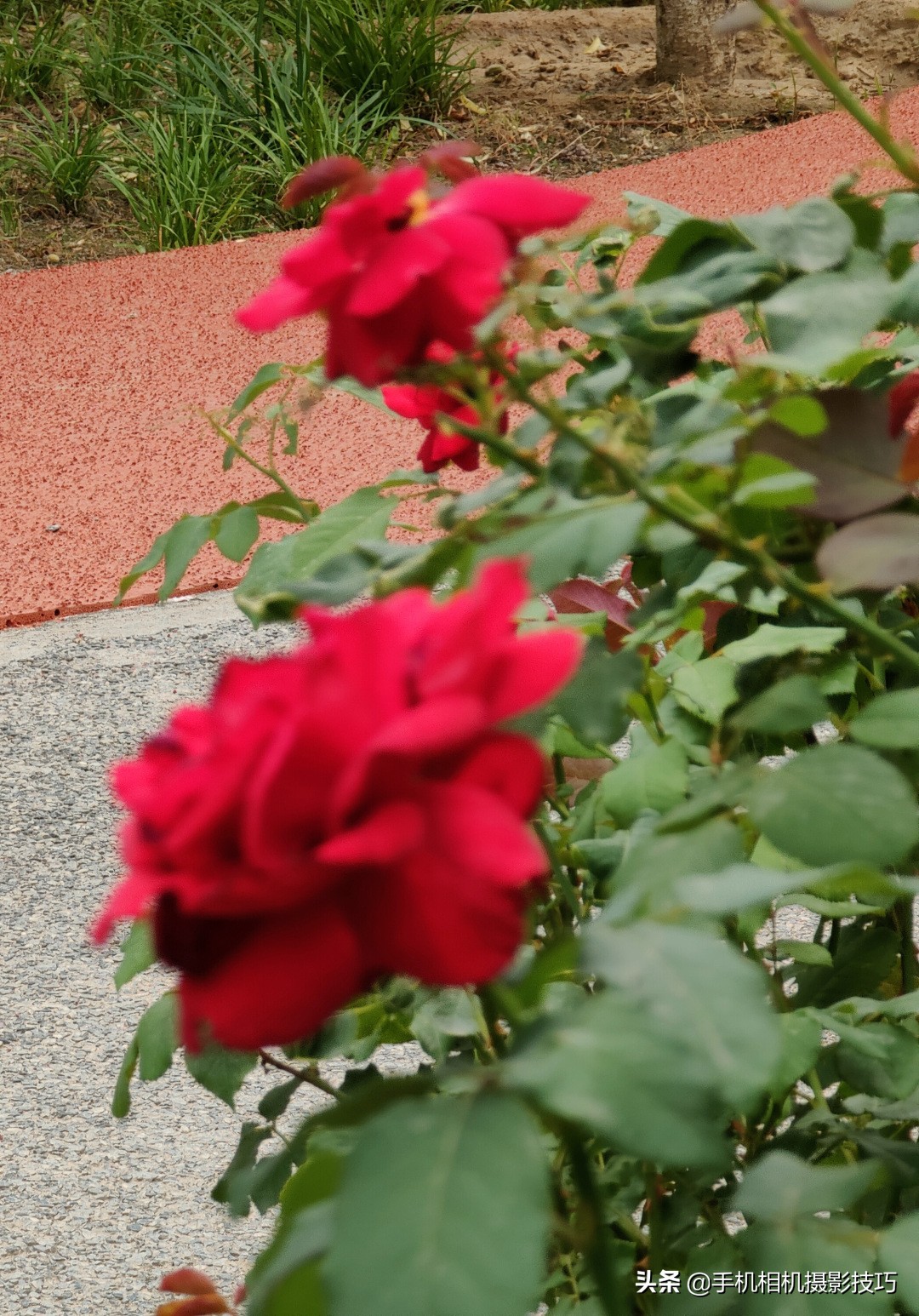 为什么大部分手机不使用长焦镜头,手机的长焦镜头变焦时会动吗