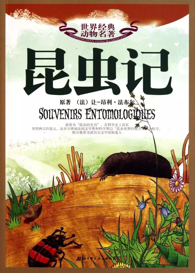 初中生名著知识及文学常识,初中必考名著常识和文学常识