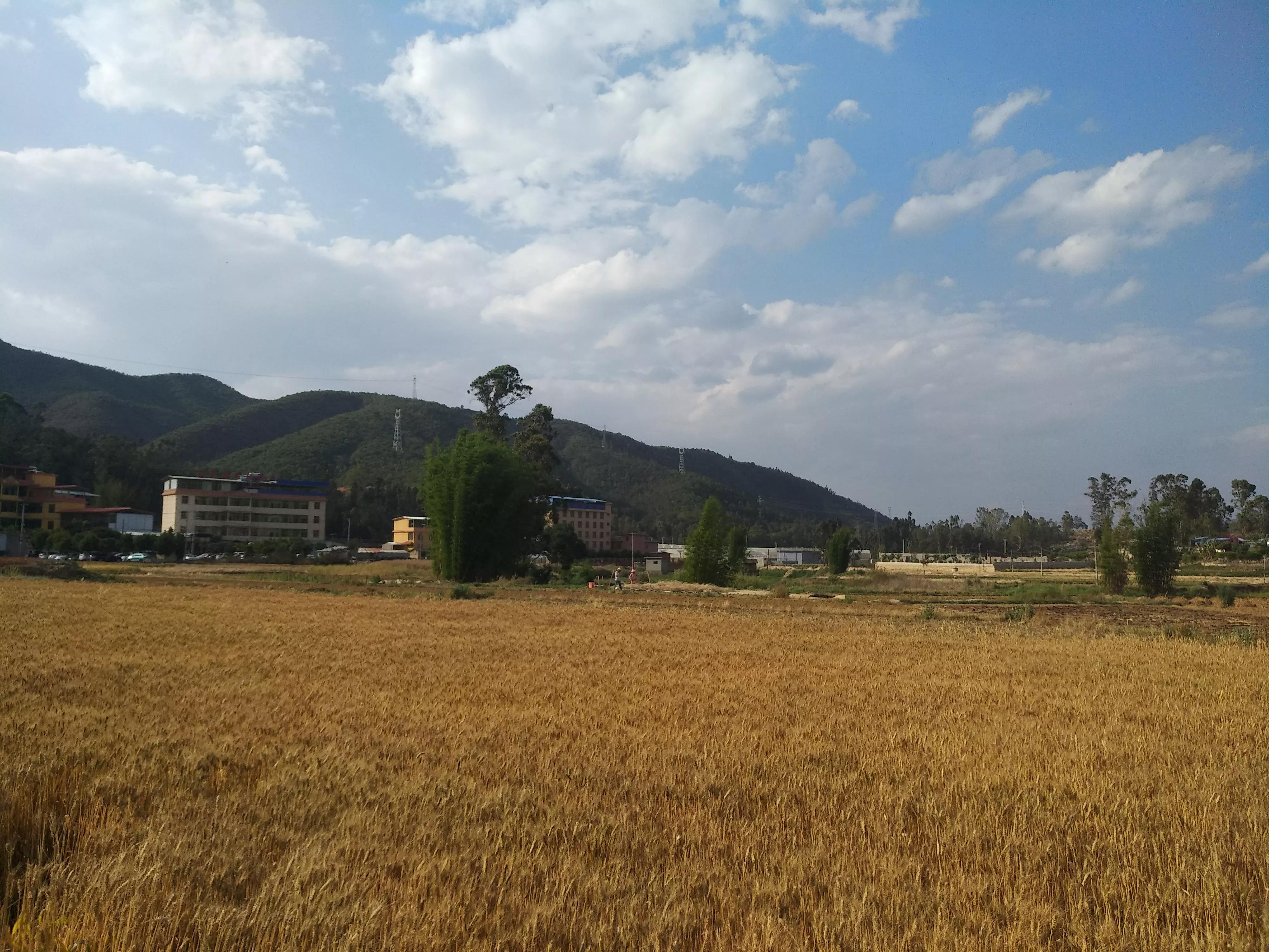 罗茨温泉吃住一条龙,罗茨温泉哪里好又便宜