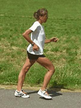 wildfieldhealth多喝水真的好吗,wildfieldhealth蛋白粉冰柠茶