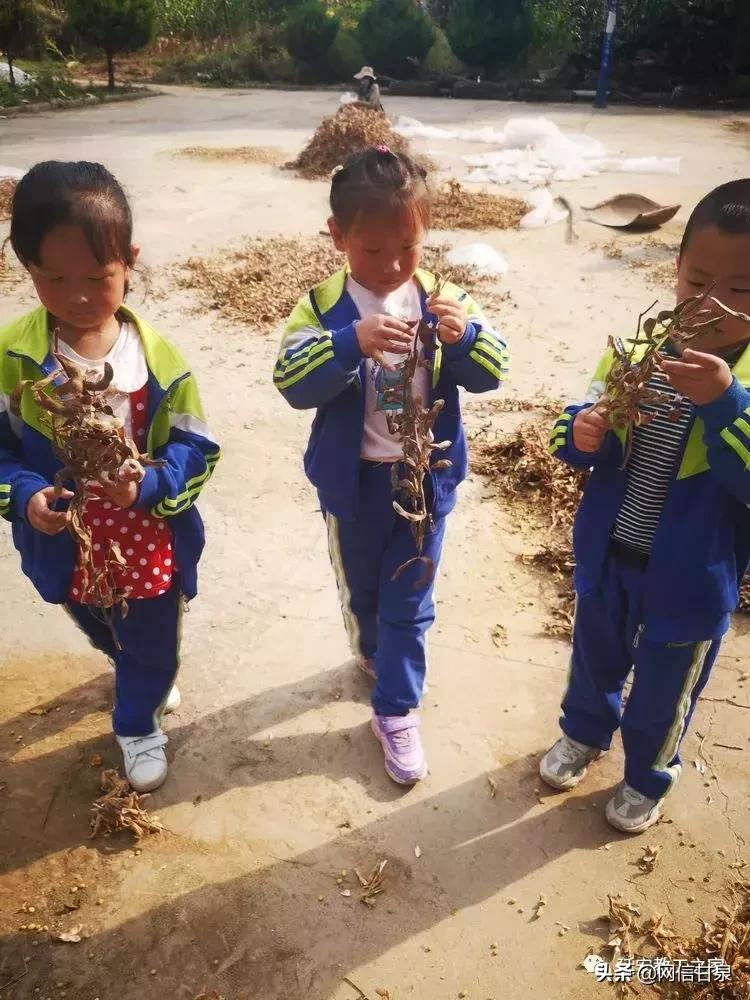 金太阳幼儿园校门,延安市甘泉谢金庄幼儿园