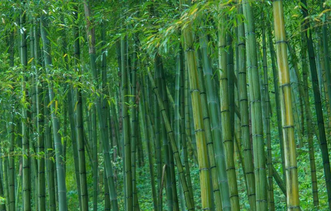 热҈热҈热҈热҈热҈!余杭超“清凉”景点集合