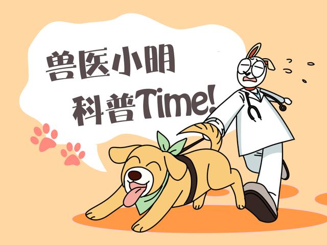 大袋鼠抱小袋鼠,大袋鼠奔跑时把小袋鼠抱出去了