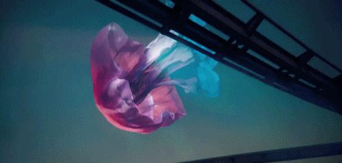 来了！2020迪拜世博会中国馆出炉！居然是一只「大红灯笼」......