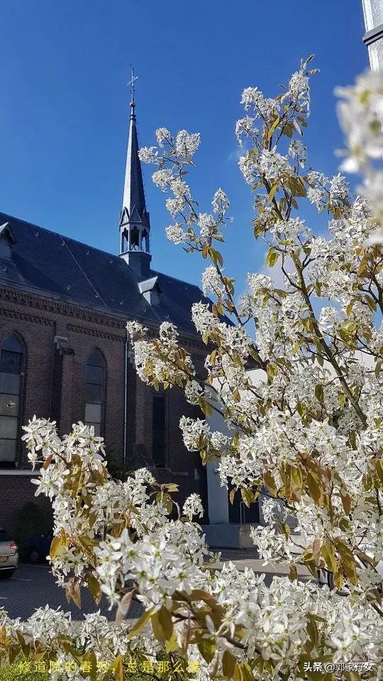 修女一般能活多久,修女的各种秘密