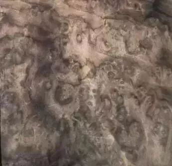 家具知识知多少,知识科普家具