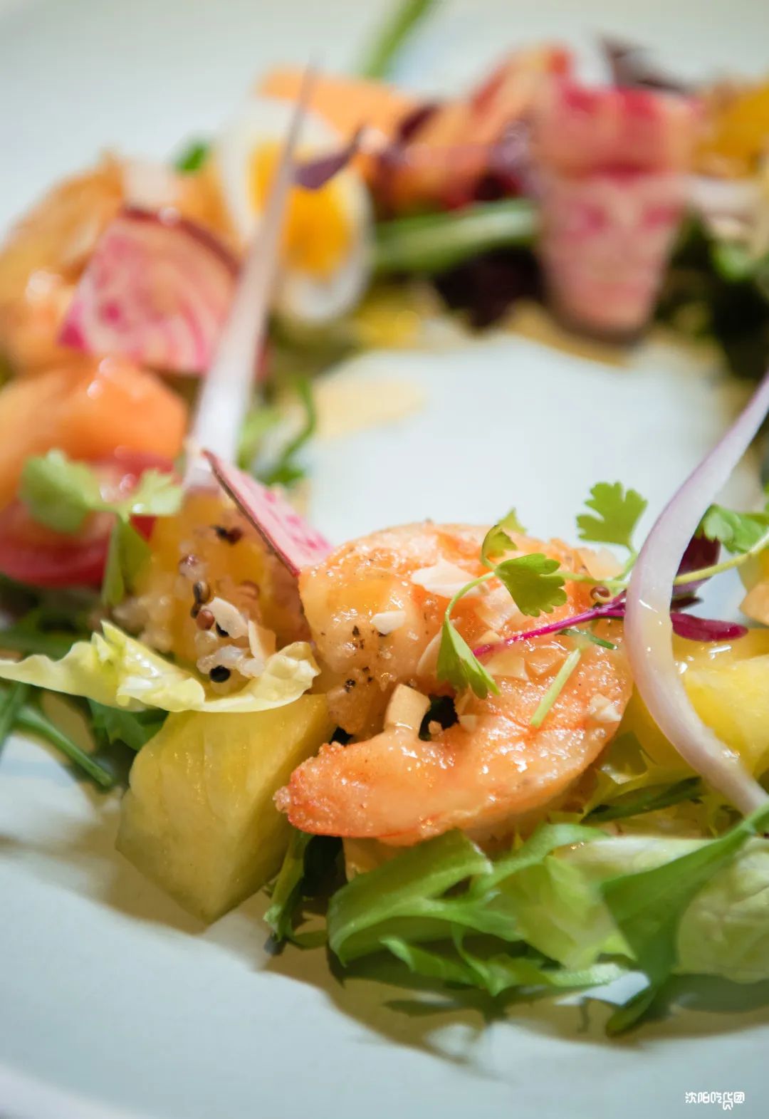 沈阳正宗法式西餐,沈阳美食排行榜前十名西餐