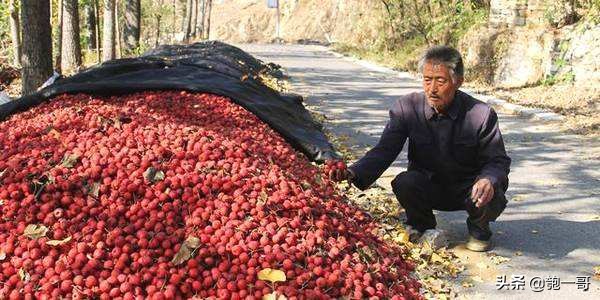 农产品下乡收购平台,农产品收购销售渠道