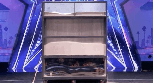 《中国达人秀》抄袭闹到日本，播出3期炸出3起抄袭事件…