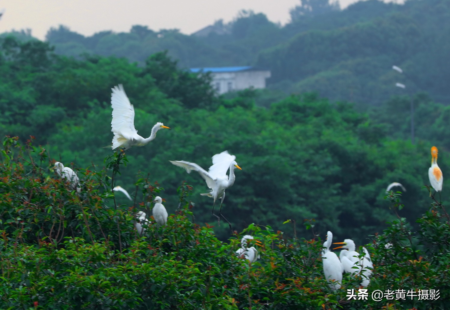 湖北京山摄影,京山摄影作品